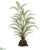 Sword Fern - Green - Pack of 2