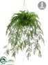 Silk Plants Direct Hanging Asparagus Fern - Green - Pack of 1