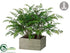 Silk Plants Direct Leather Fern - Green - Pack of 2