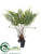 Fern - Green - Pack of 4