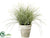 Silk Plants Direct Grass - Green - Pack of 2