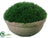 Grass Moss - Green - Pack of 6