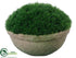 Silk Plants Direct Grass Moss - Green - Pack of 6