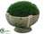 Grass Moss - Green - Pack of 6