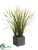 Grass Arrangement - Green - Pack of 6