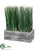 Grass - Green - Pack of 6