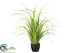 Silk Plants Direct Reed Grass - Green Light - Pack of 4