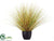 Grass Bush - Honey Green - Pack of 2