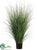 Onion Grass - Green - Pack of 2