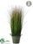 Grass - Green - Pack of 1