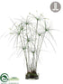 Silk Plants Direct Papyrus Grass - Green - Pack of 1