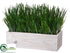 Silk Plants Direct Grass - Green - Pack of 2