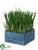 Grass - Green - Pack of 2