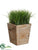 Grass - Green - Pack of 2