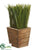 Grass - Green - Pack of 12