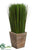 Grass - Green - Pack of 2