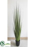 Silk Plants Direct Reed Grass - Green - Pack of 1