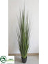 Silk Plants Direct Reed Grass - Green - Pack of 1