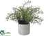 Silk Plants Direct Rosemary - Green - Pack of 6