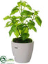 Silk Plants Direct Basil - Green - Pack of 6