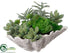 Silk Plants Direct Succulent - Green - Pack of 4