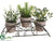 Herb Garden - Green - Pack of 4