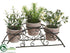 Silk Plants Direct Herb Garden - Green - Pack of 4