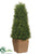 Tea Leaf Cone Topiary - Green - Pack of 4