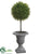 Tea Leaf Ball Topiary - Green - Pack of 4