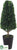 Boxwood Cone Topiary - Green - Pack of 2