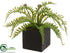 Silk Plants Direct Fern - Green - Pack of 12