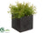 Grass - Green Burgundy - Pack of 12