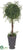 Angel Vine Topiary Ball - Green - Pack of 2