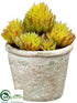 Silk Plants Direct Sedum - Green - Pack of 12