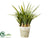 Silk Plants Direct Succulent Grass - Green - Pack of 2