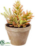 Silk Plants Direct Succulent - Green Burgundy - Pack of 4