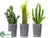 Silk Plants Direct Cactus - Green - Pack of 4