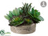 Silk Plants Direct Succulent Garden - Green - Pack of 2