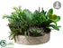 Silk Plants Direct Succulent Garden - Green - Pack of 2