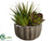 Succulent Garden Arrangement - Green Burgundy - Pack of 6