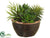 Succulent Garden - Green - Pack of 8