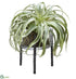 Silk Plants Direct Tillandsia - Green - Pack of 2