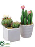 Silk Plants Direct Cactus - Assorted - Pack of 3