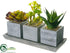 Silk Plants Direct Succulent - Green - Pack of 4