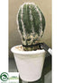 Silk Plants Direct Hedgehog Cactus - Green - Pack of 12