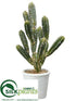 Silk Plants Direct Peruvian Cactus - Green - Pack of 4