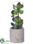 Silk Plants Direct Succulent - Green - Pack of 2