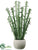 Cactus - Green - Pack of 1