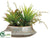 Succulent Garden Arrangement - Green Burgundy - Pack of 4