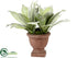 Silk Plants Direct Agave Plant - Green - Pack of 2